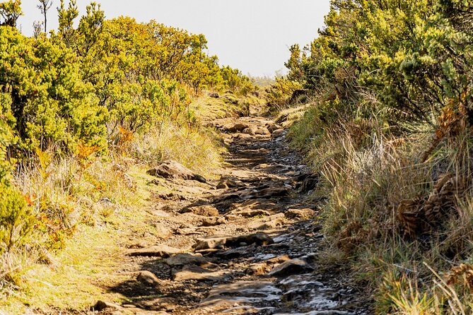Haleakala Crater Hiking Experience - Stop at Haleakala Highway and Crater Road: why that ride matters