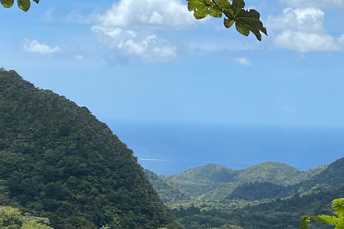 Half Day Grenada Seven Sisters, Grand Etang Nature Center Hiking Tour - Seven Sisters and Grand Etang in a 3 to 4 Hour Rhythm