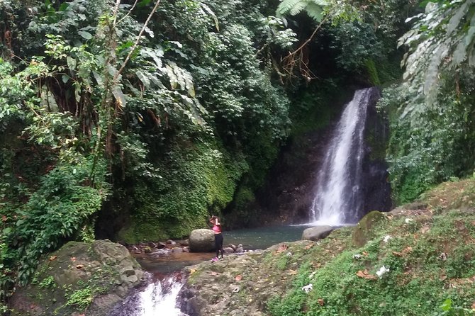 Half Day Grenada Seven Sisters, Grand Etang Nature Center Hiking Tour - Pickup, Transfers, and Why This Matters on Grenada Roads