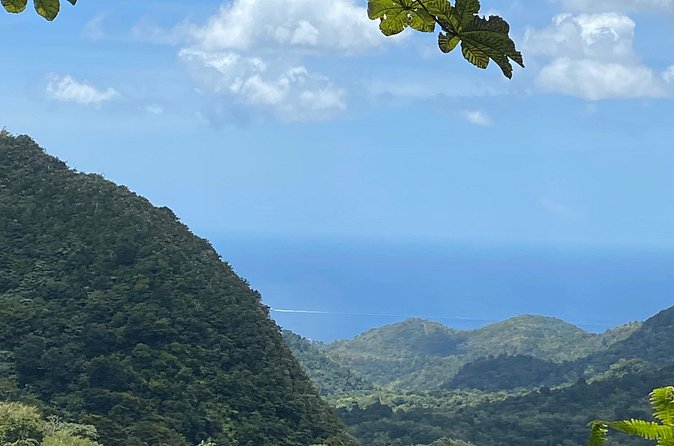 Half Day Grenada Seven Sisters, Grand Etang Nature Center Hiking Tour - Price and Value: Is $82.06 Worth It?