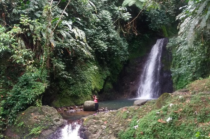 Half Day Grenada Seven Sisters, Grand Etang Nature Center Hiking Tour - Who Should Book This Tour (and Who Might Rethink It)