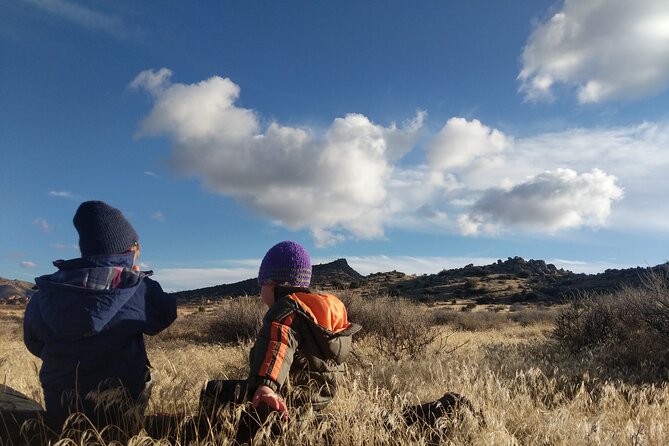Half-Day Guided Hike in Joshua Tree National Park - Inside the park: how your guide builds a route for your group