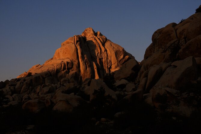 Half-Day Guided Hike in Joshua Tree National Park - Who this hike fits: families, first-timers, and mixed-skill groups