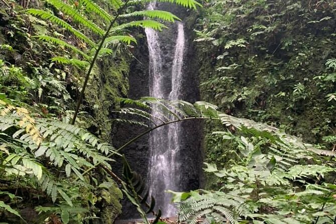 Half-Day Guided Hike to Afareaitu Waterfall - Where the Afareaitu hike starts in Moorea