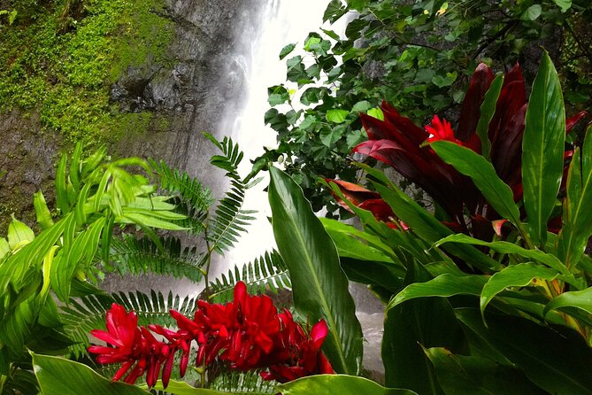 Half-Day Guided Hike to Afareaitu Waterfall - The sacred valley walk: plants, temples, and daily uses