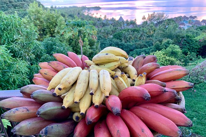 Half-Day Guided Hike to Afareaitu Waterfall - The riverside fruit garden tasting: the payoff meal