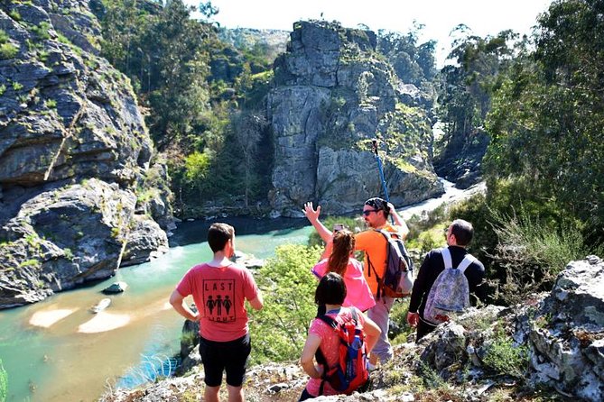 Half-day Hike & Picnic with Dog Love in Porto's Mountains - Key highlights you can plan around