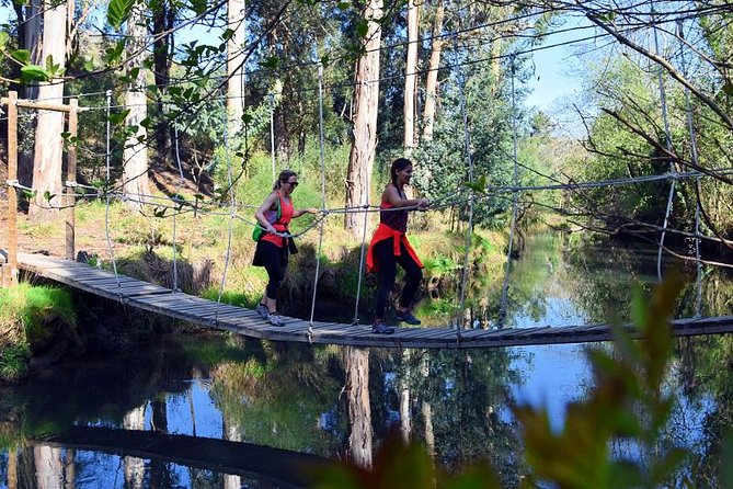 Half-day Hike & Picnic with Dog Love in Porto's Mountains - Why Porto’s Mountains Feel Like a Real Reset