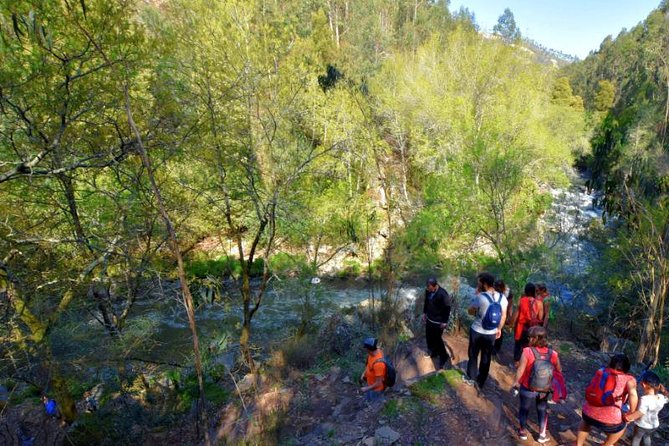 Half-day Hike & Picnic with Dog Love in Porto's Mountains - Dog Love in the Porto Hills: Shy’s Role on the Day