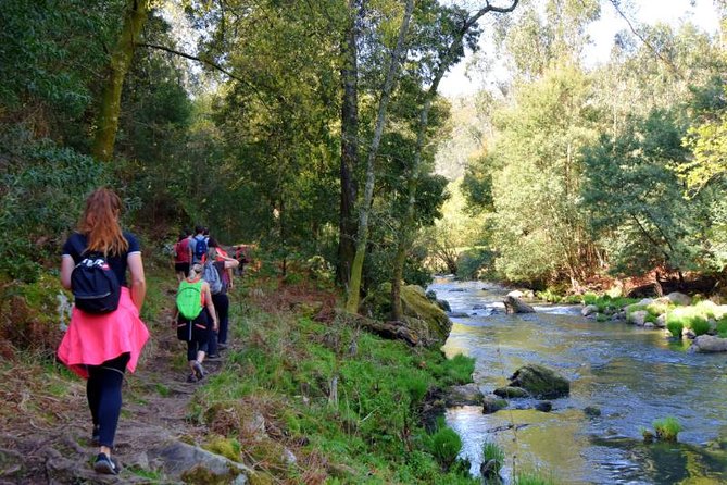 Half-day Hike & Picnic with Dog Love in Porto's Mountains - Serras do Porto Park Hike: Pace, River Views, and Trail Variety