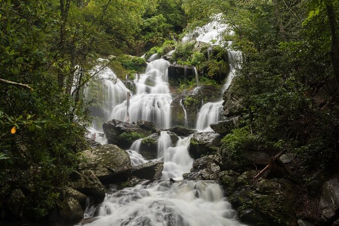 Half Day Hike - Water Falls - Why Asheville Waterfalls Feel Different With a Naturalist