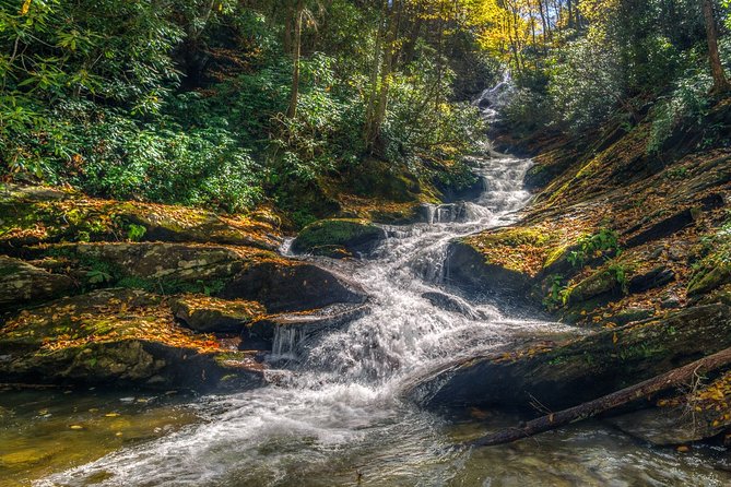 Half Day Hike - Water Falls - On the Trail: Flora, Fauna, and a Pace That Fits You