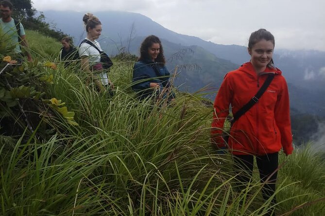 Half Day Hiking in Munnar Trekking Tour - Views Toward Anaimudi on Clear Days: The Payoff Moment