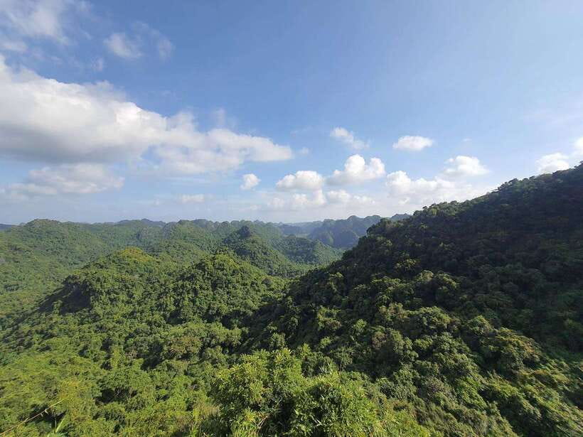 Half Day Hiking to Cat Ba National Park with a Guide - Key things to know before you go