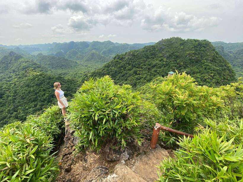 Half Day Hiking to Cat Ba National Park with a Guide - Why this tour works in just 4 hours