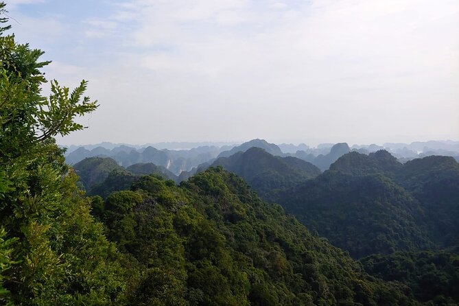 Half Day Hiking to Discover Cat Ba National Park with a Guide - Quick highlights you’ll remember