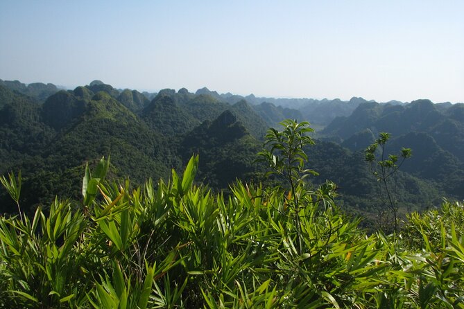 Half Day Hiking to Discover Cat Ba National Park with a Guide - Stop 1: Hospital Cave and the mountain’s wartime footprint