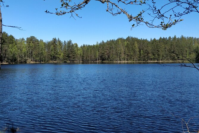 Half Day Hiking Tour in Beautiful Estonian Nature - Half-Day Nature Worth Your Morning: Paukjärv and Jagala in 5 Hours