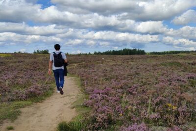 Half Day Hiking Tour in Beautiful Estonian Nature - Paukjärv Nature Reserve: Up to 3 Hours of Lakes, Bogs, and Forest Turns