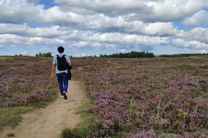 Half Day Hiking Tour in Beautiful Estonian Nature - Paukjärv Nature Reserve: Up to 3 Hours of Lakes, Bogs, and Forest Turns