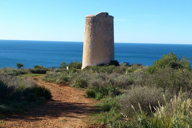 Half-Day Malaga Small-Group Hiking and Snorkeling Tour - From Malaga to Maro: a short van ride, then you’re off the grid