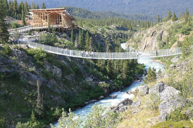 Half Day Yukon Suspension Bridge & Summit Tour - Your Morning Start: Meeting Point, Timing, and How Not to Stress