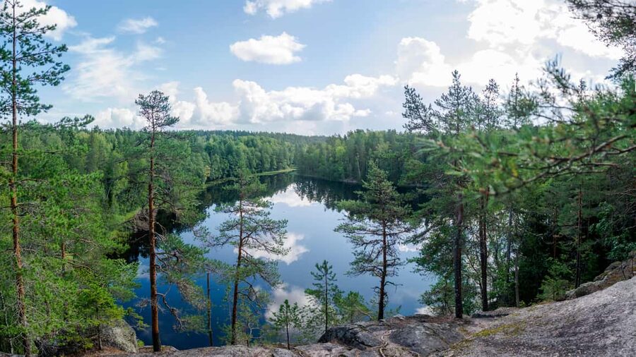 Helsinki: Nuuksio National park hiking with campfire lunch - Price and Value: Is $141 Worth It for a 6-Hour Day?