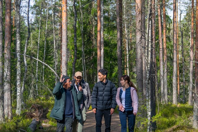 Helsinki: Nuuksio National park hiking with campfire lunch - Viewpoints and Elevations: Why the Middle of the Hike Matters