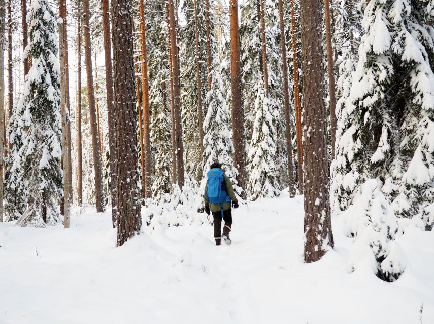 Helsinki: Winter Wonderland Liesjärvi National Park Hike - Who this tour suits best (and who should skip it)
