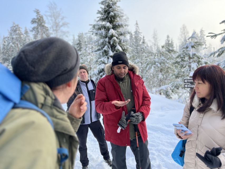 Helsinki: Winter Wonderland Liesjärvi National Park Hike - The winter hike route: easy distance, smart pacing, slippery reality