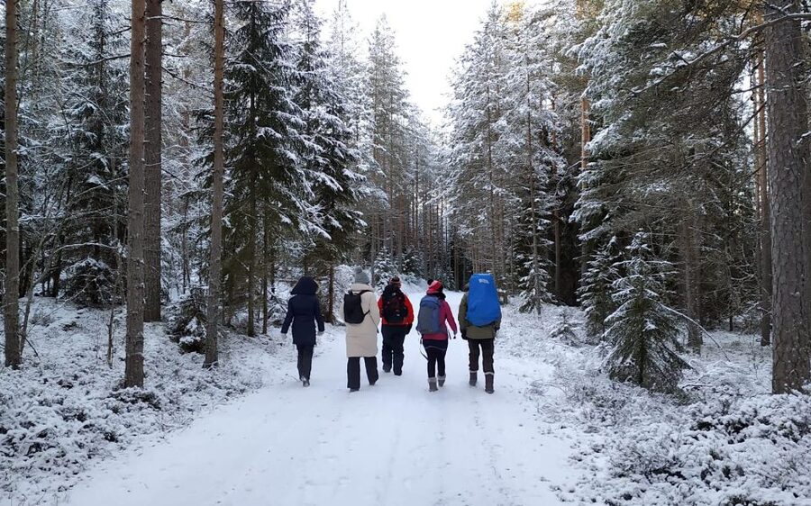 Helsinki: Winter Wonderland Liesjärvi National Park Hike - Campfire lunch in a heated hut: Finnish comfort in the snow