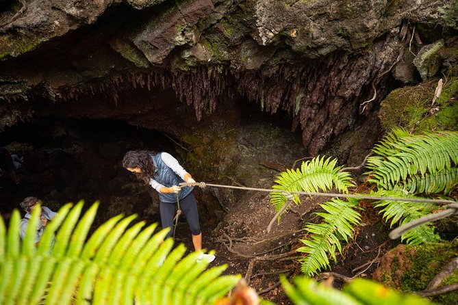 Hidden Craters Hike of Kona - Stop 2 on Hualalai: Private Land, Craters, and the Lava Tube Moment