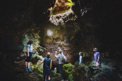 Hidden Craters Hike of Kona - Price and Logistics: What You’re Actually Paying For