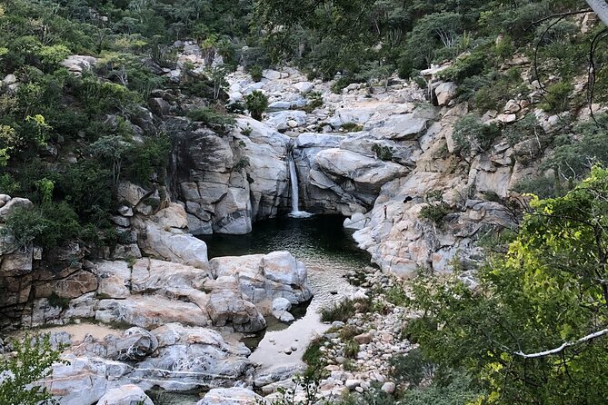 Hidden Waterfalls Hiking Adventure - Key things to know before you hike to the hidden falls