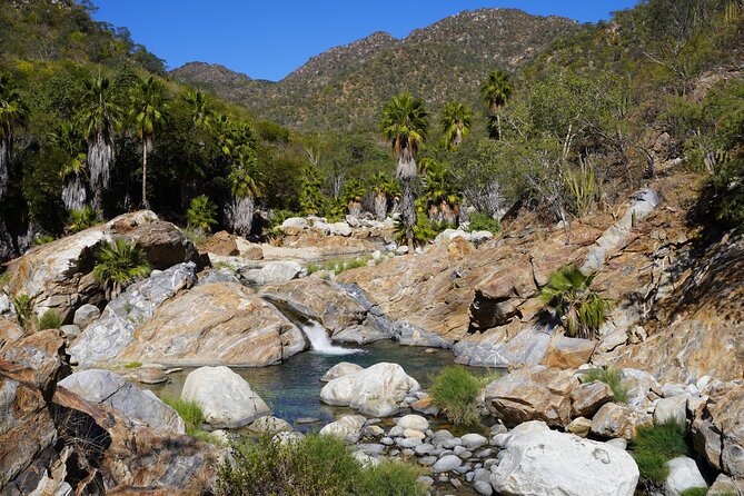 Hidden Waterfalls Hiking Adventure - Leaving Los Cabos behind in the Sierra de la Laguna Mountains