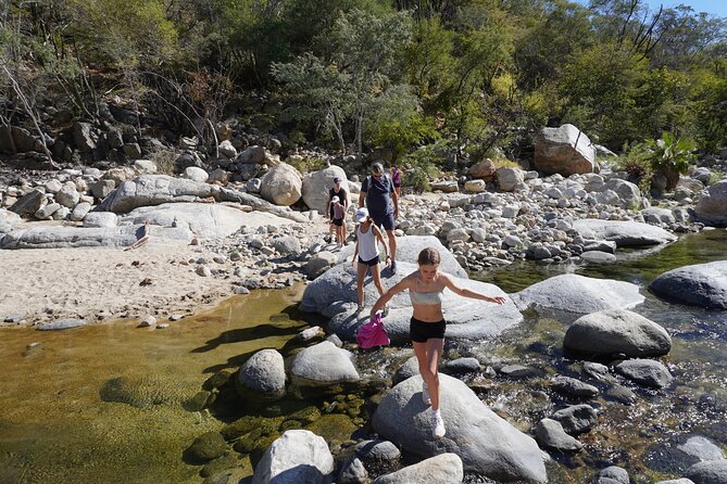 Hidden Waterfalls Hiking Adventure - Plants, local details, and why the canyon feels more personal