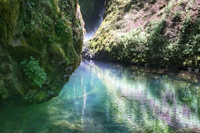 Hike and Bike Tour to Columbia River Gorge Waterfalls - Price and value: what $98.95 includes (and what it doesn’t)