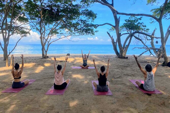 Hike and Yoga Jungle Experience in Mexico - Key Highlights That Make This Tour Worth Your Morning