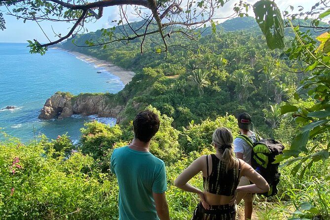 Hike and Yoga Jungle Experience in Mexico - The Quiet Beach Transition: Why the Location Changes the Whole Class