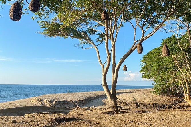 Hike and Yoga Jungle Experience in Mexico - What to Bring for a Comfortable Hike-and-Yoga Day