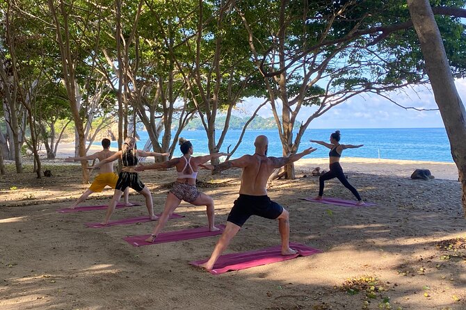 Hike and Yoga Jungle Experience in Mexico - The 1.5-Mile Jungle Hike: Views, Footing, and Nature Details
