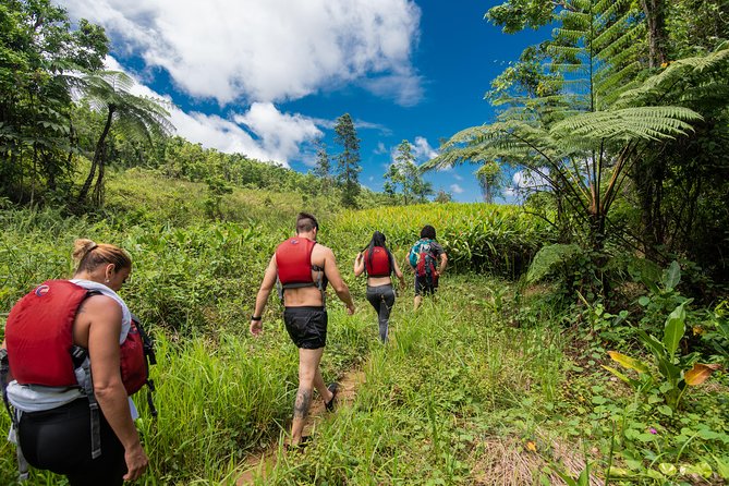 Hike El Yunque Rainforest and Kayak Bio Bay Combo Tour - Why This Combo Tour Is Worth the Time
