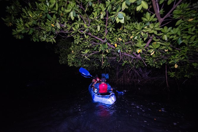 Hike El Yunque Rainforest and Kayak Bio Bay Combo Tour - Morning Pickup and the Push Toward El Yunque