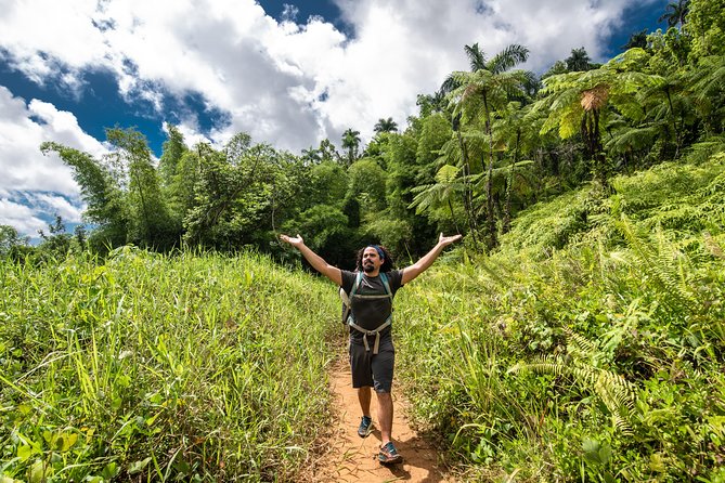 Hike El Yunque Rainforest and Kayak Bio Bay Combo Tour - Mosquitoes, Weather, and Other Small Things That Matter