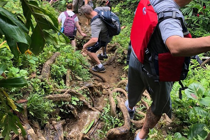 Hike El Yunque Rainforest and Kayak Bio Bay Combo Tour - Price and Value: Is $172 a Good Deal?
