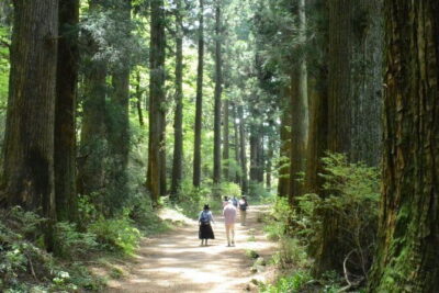 Hike Hakone Hachiri - Mishima at 8:30: start fast, plan for a full day