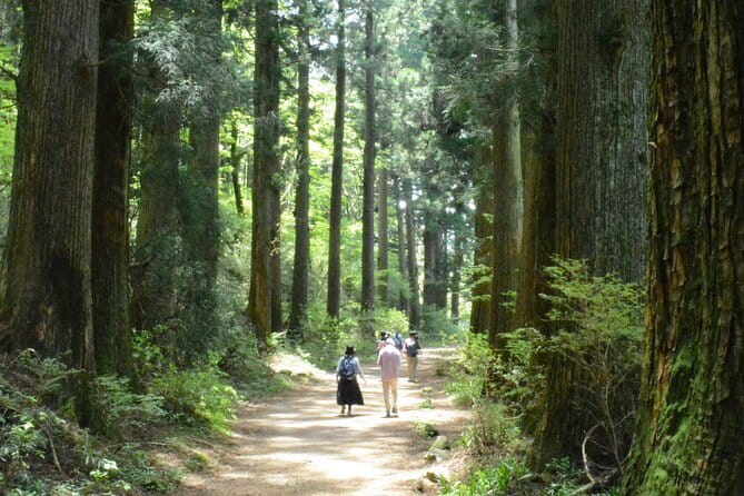 Hike Hakone Hachiri - Mishima at 8:30: start fast, plan for a full day