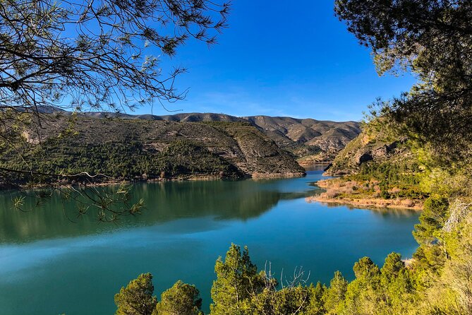 Hike Hanging Bridges and Canyon Túria - Chulilla - OFFICIAL GUIDE - The Loriguilla Reservoir Segment: Why the Forest Track Matters