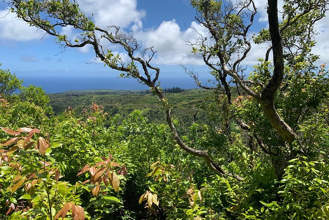 Hike Honolua Ridgeline - Getting Started: Lahaina Meeting Point and a 9:00 AM Kick