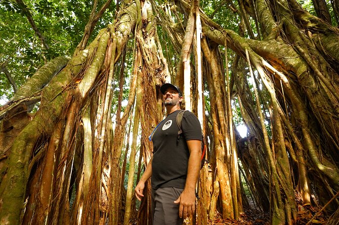 Hike Honolua Ridgeline - Views Without the Long Haul: Ridgeline Lookouts and Photo Stops